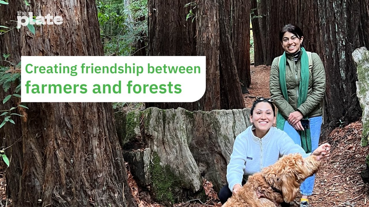 Creating Friendship between Farmers and Forests