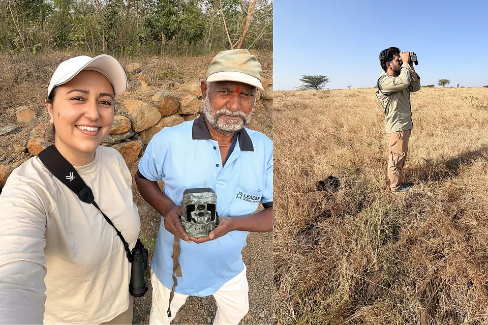 Hornbill Dispatch #17 | 300 Fires, One Rare Quail, and a Lot of New Faces