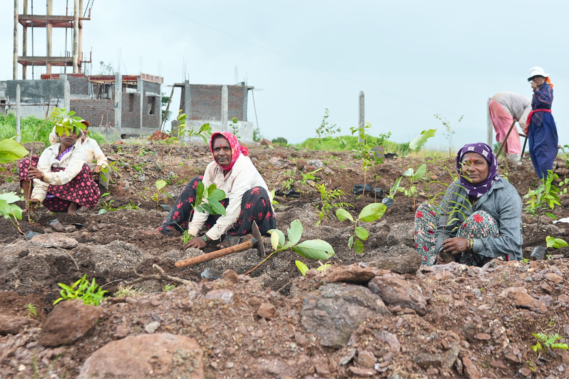 Restoration activities in our Pune Biodiversity Hub
