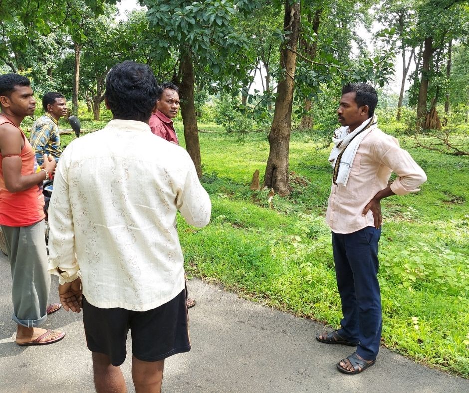 Gadchiroli large-scale reforestation