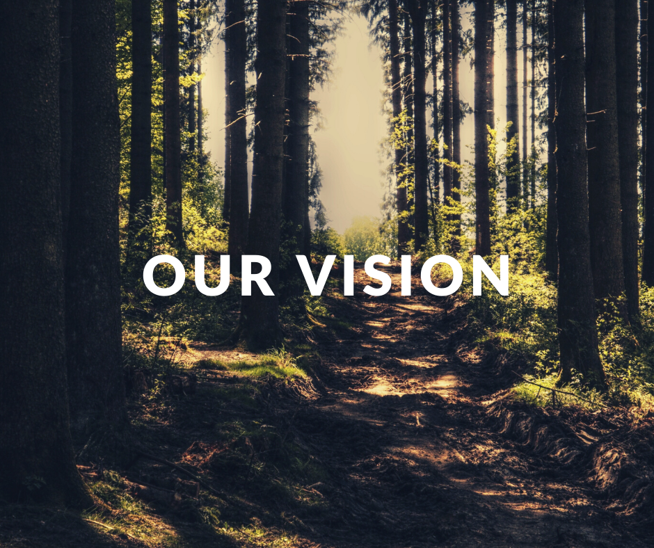 Our Vision