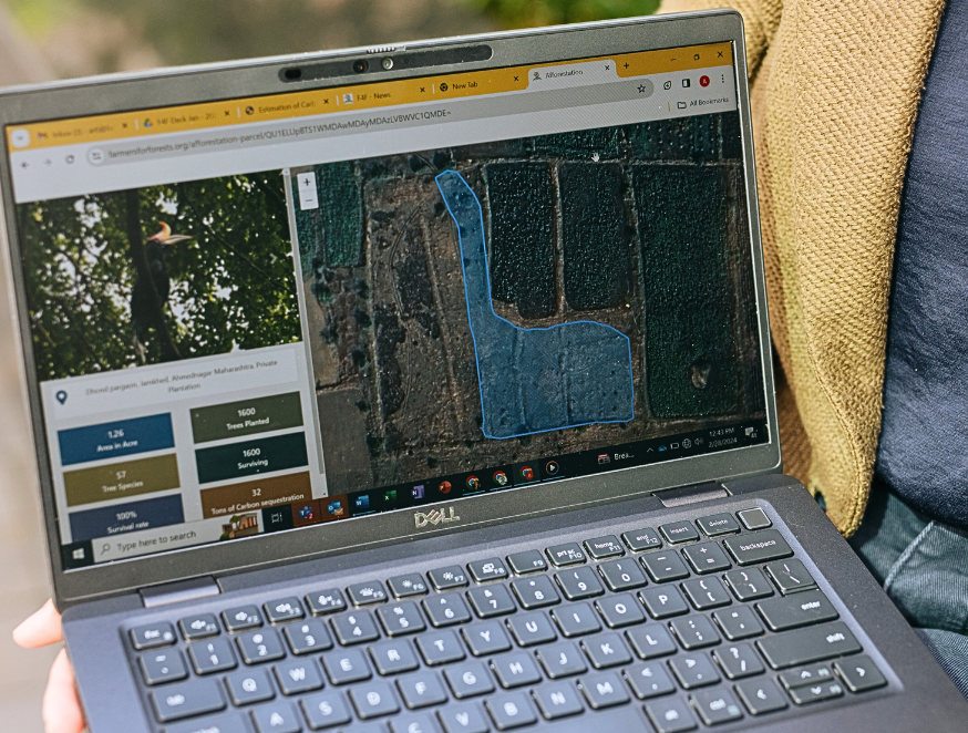 Drone and AI canopy monitoring