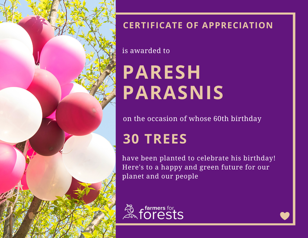 Birthday certificate theme