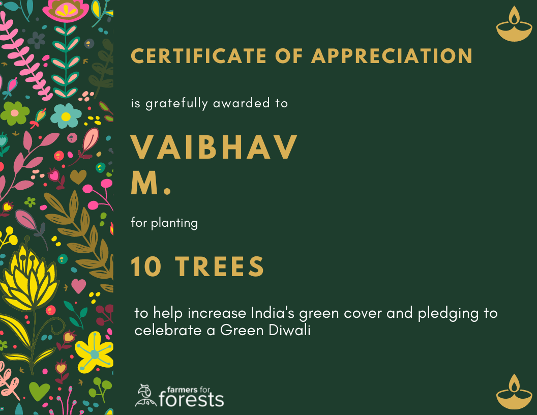 Diwali certificate theme