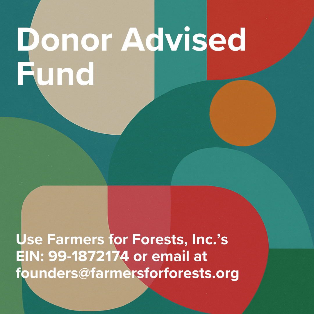 Donor Advised Fund donation